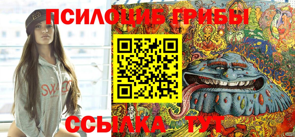 Галлюциногенные грибы Psilocybine cubensis Кызыл
